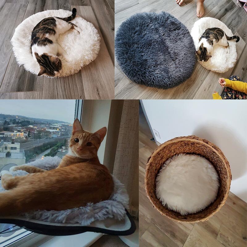 Ultimate Relaxation: Round Dog Bed Haven