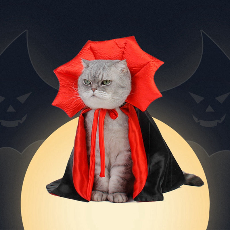 Fang-tastic Fun: Dress Up Your Cat for Spooktacular Moments