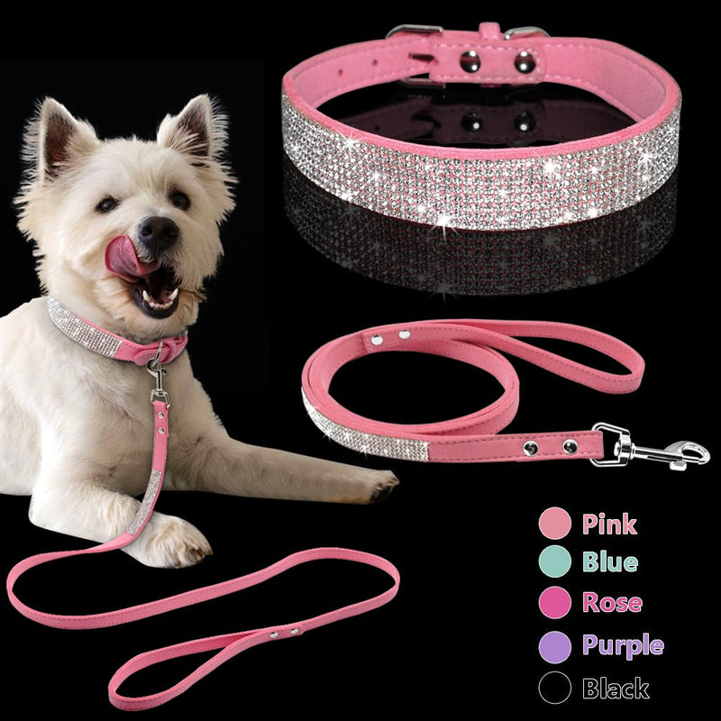 Unleash Unity: Collar Leash Connection