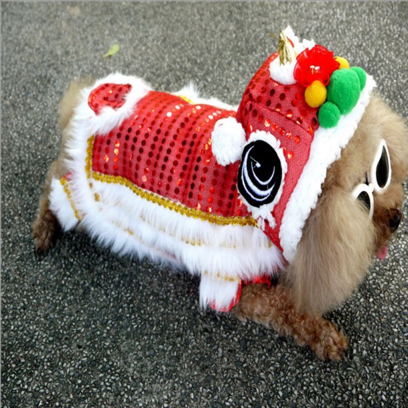 Memories of Joy: Spring Festival Dog Coat