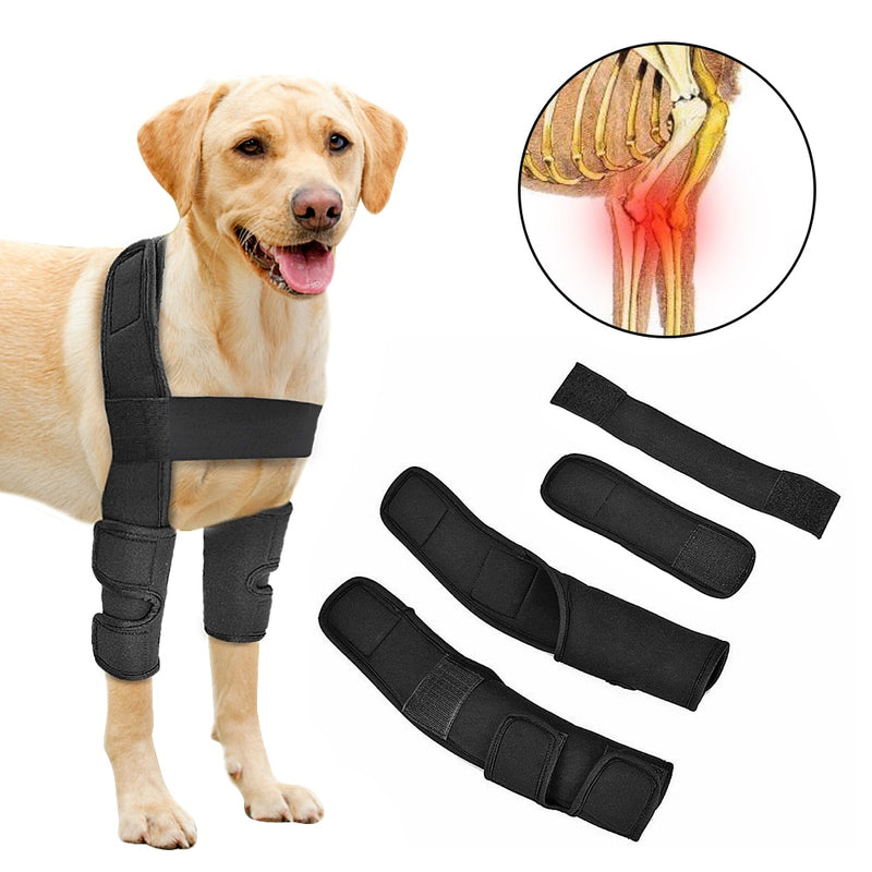 Stay Active and Enjoy Life - Pet Leg Support for Uninterrupted Adventures