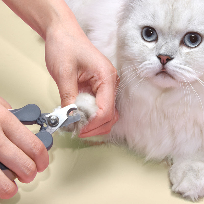 Pet Clipper - Take Control of Your Pet's Grooming