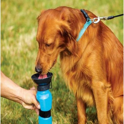 Quenching Thirst: Portable Water Bottle Drinker for Dogs
