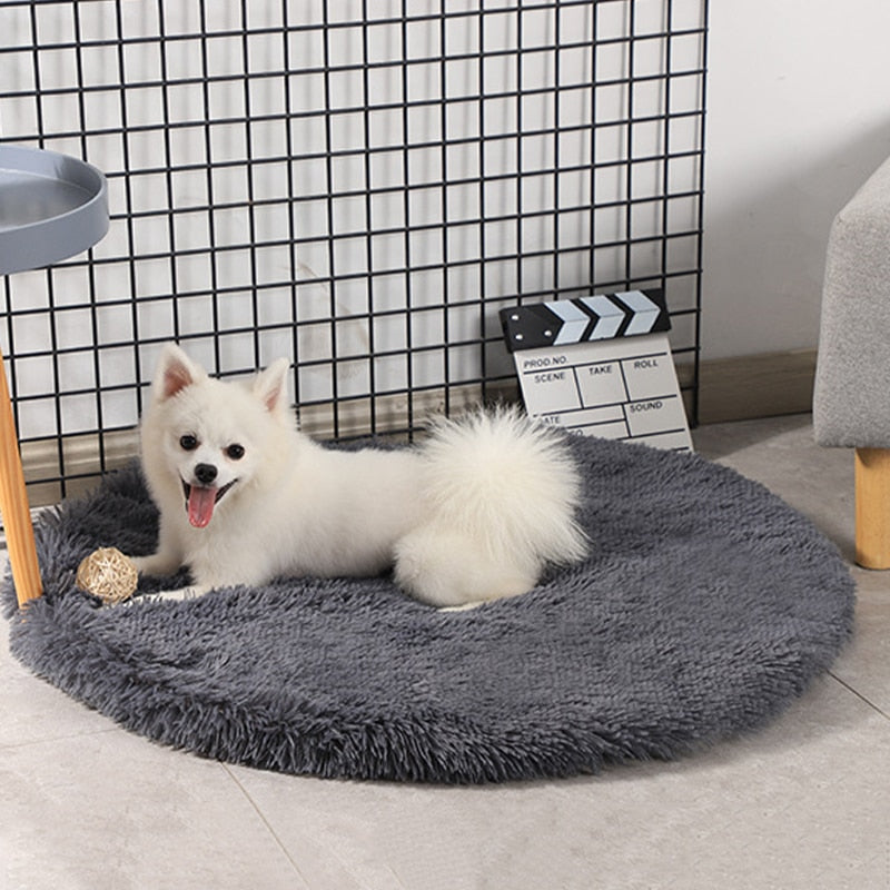 Ultimate Relaxation: Round Dog Bed Haven