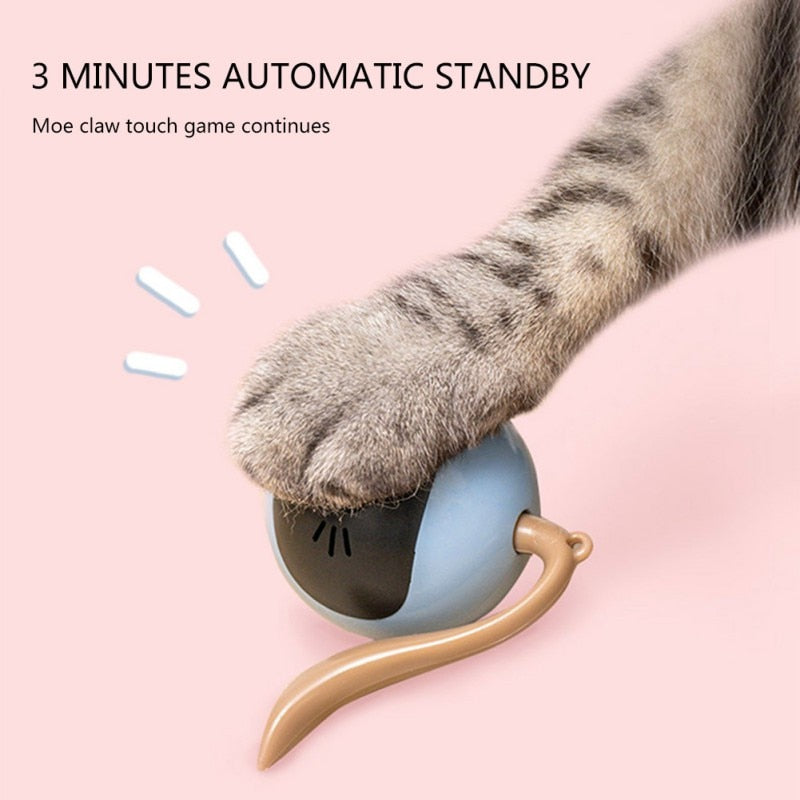 Elevate Playtime with the Automatic Self-Rotating Cat Toy