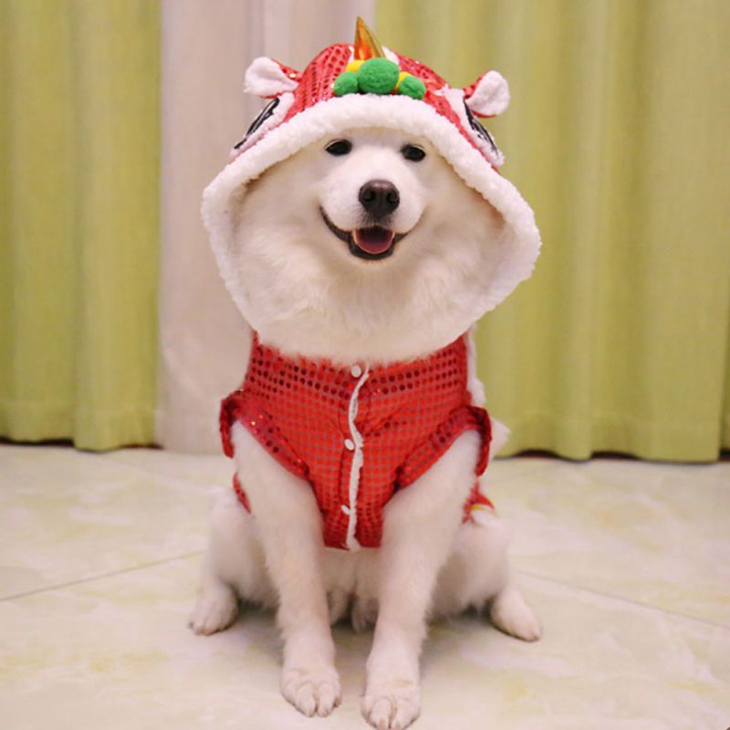 Memories of Joy: Spring Festival Dog Coat