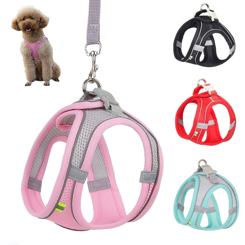 Ergonomic Comfort: Dog Harness Leash Set