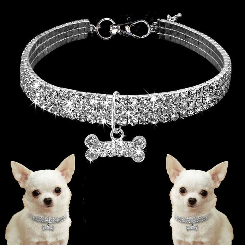 Style Statement: Fashion Pet Collar Experience