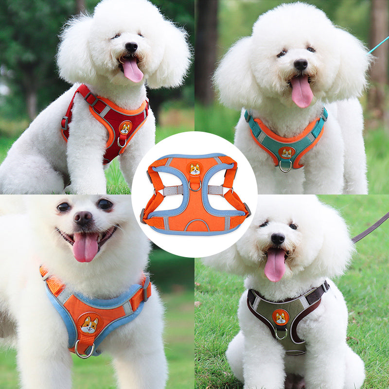 Comfort and Control - Harness and Leash Set for Peaceful Walks