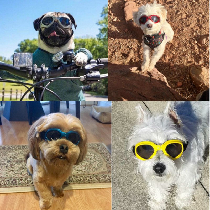 Dog Sunglasses - Protect Your Dog's Eyes in Style