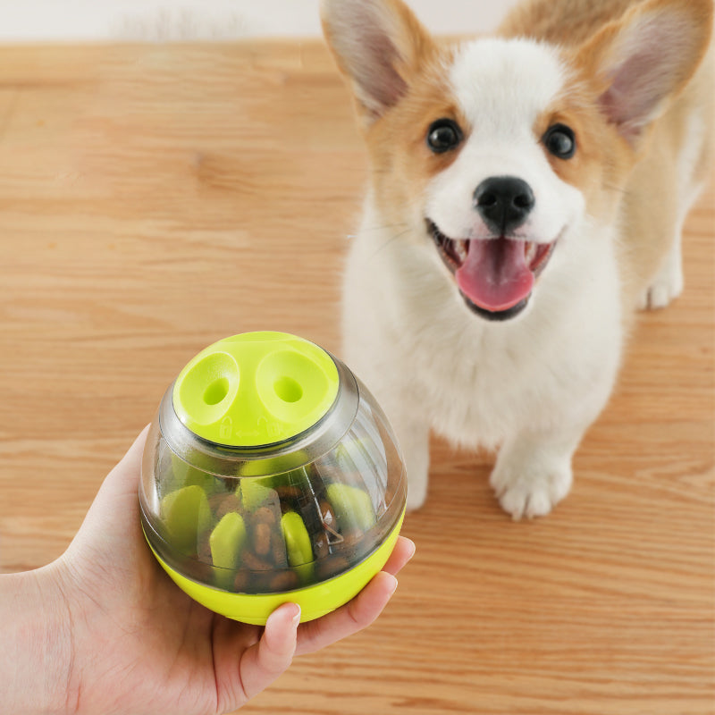 Unlock Your Pet's Genius - Pets IQ Treat Toys for Smart Play