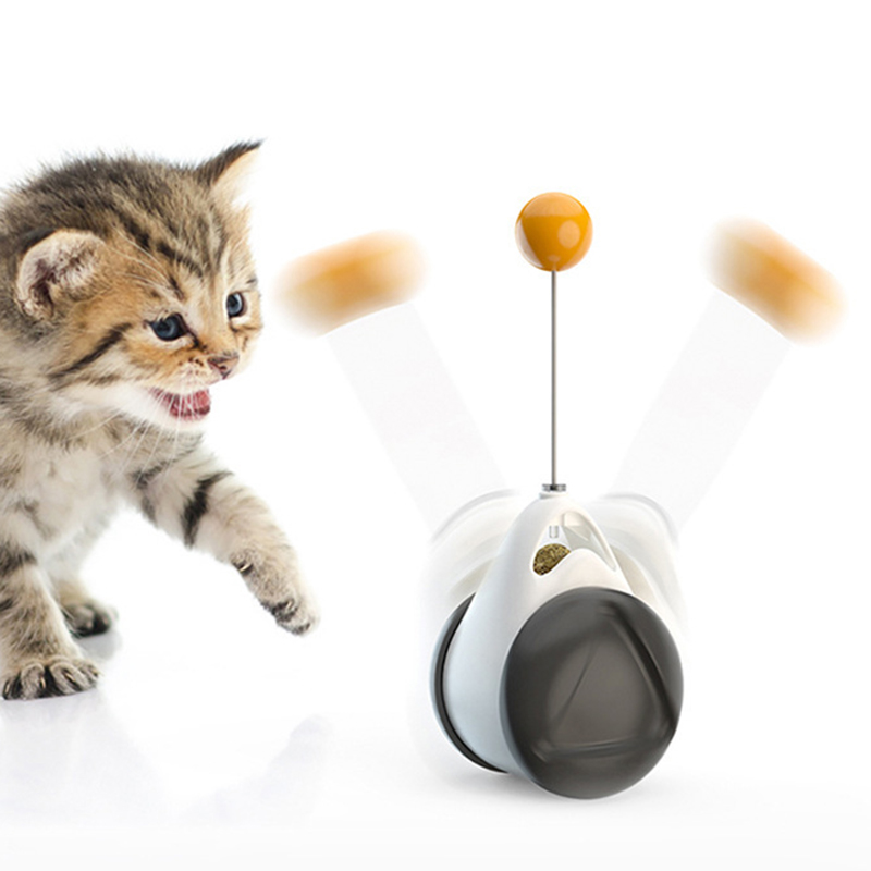 Shared Playtime: Swinging Ball Cat Toy