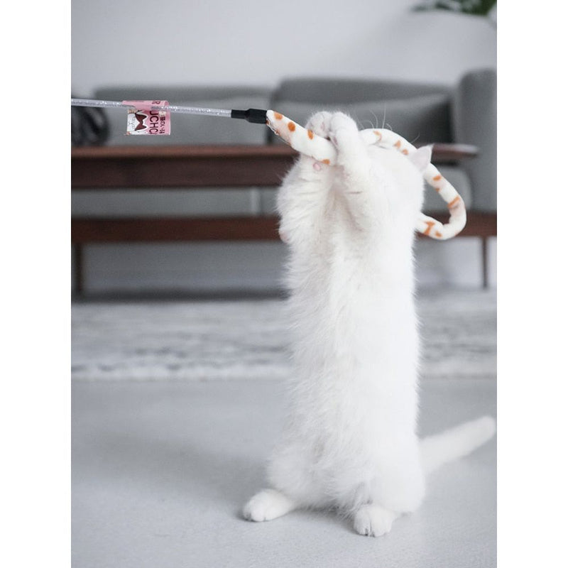 Stimulate Imagination: Funny Caterpillar Cat Toy