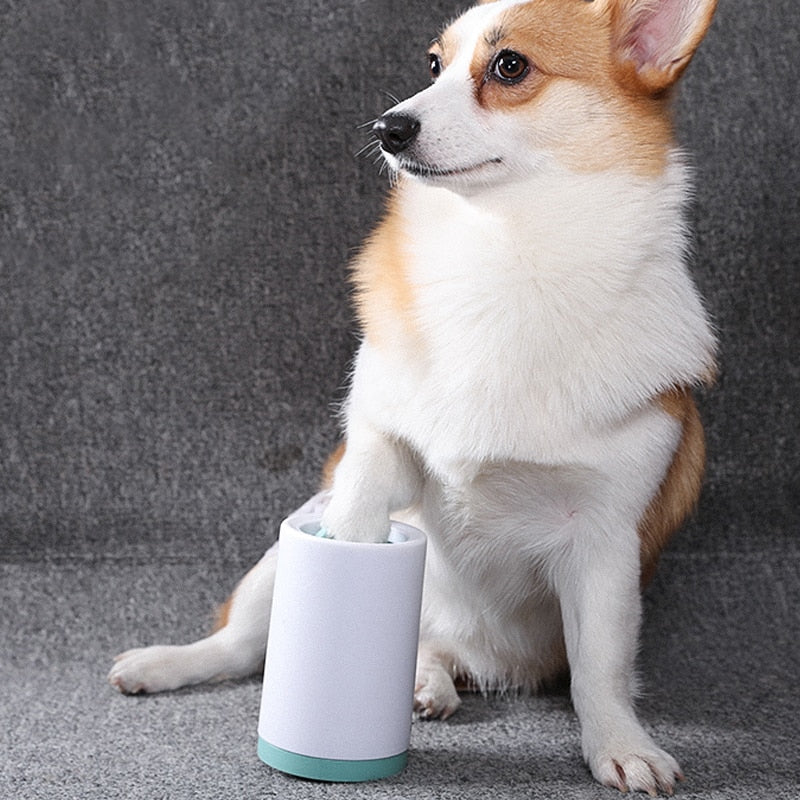 Purity in Every Step: Pet Foot Washer