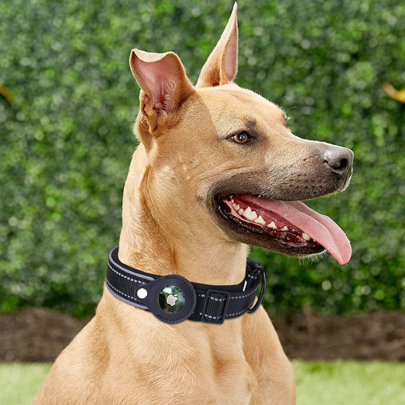 Shared Journeys: Airtag Dog Collar Bond