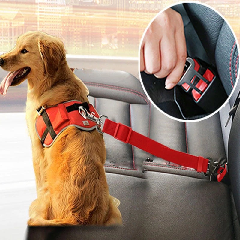 Adjustable Dog Safety Seat Belt: Freedom and Protection