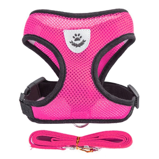 Adjustable Vest Pet Harness: Freedom and Comfort