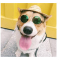 Vintage Round Sunglasses for Dogs and Cats .