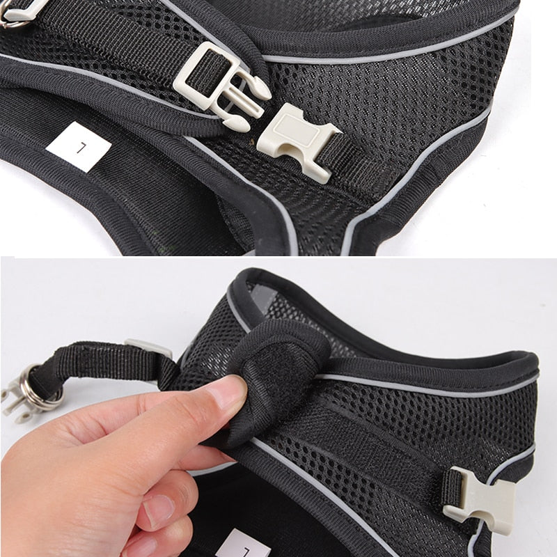 Ergonomic Comfort: Dog Harness Leash Set