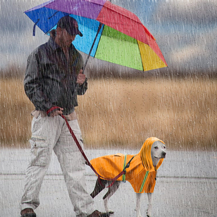Joyful Adventures: Spring and Summer Dog Raincoat