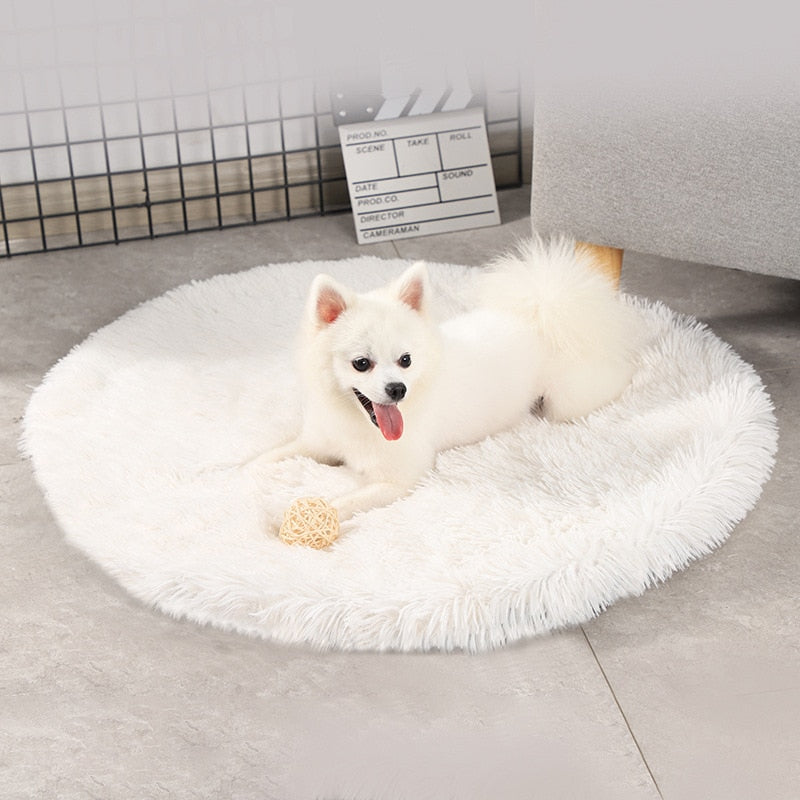 Ultimate Relaxation: Round Dog Bed Haven