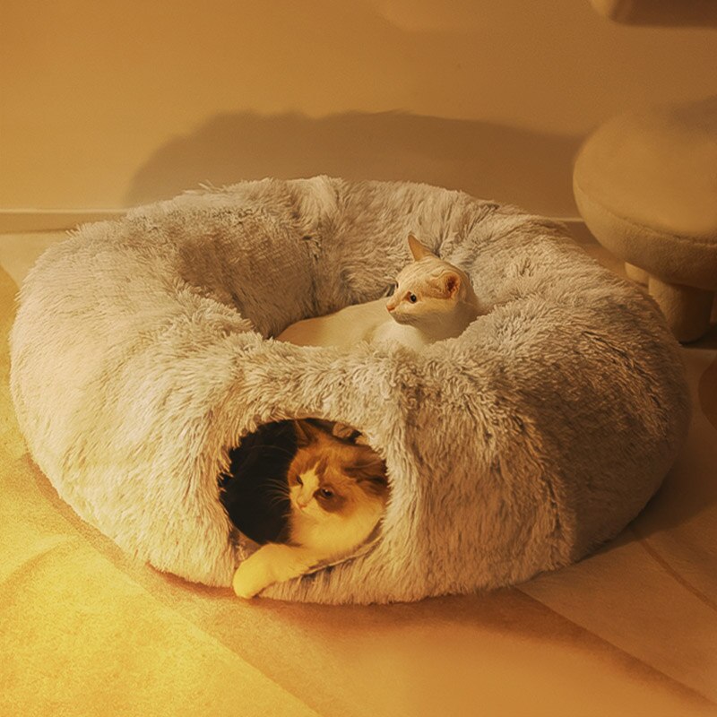 Plush Comfort: Feline Bed Sanctuary