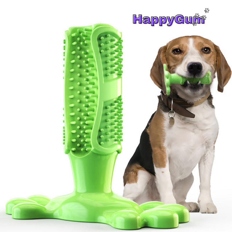 A Smile That Warms Hearts: HappyGum Dog Dental Care