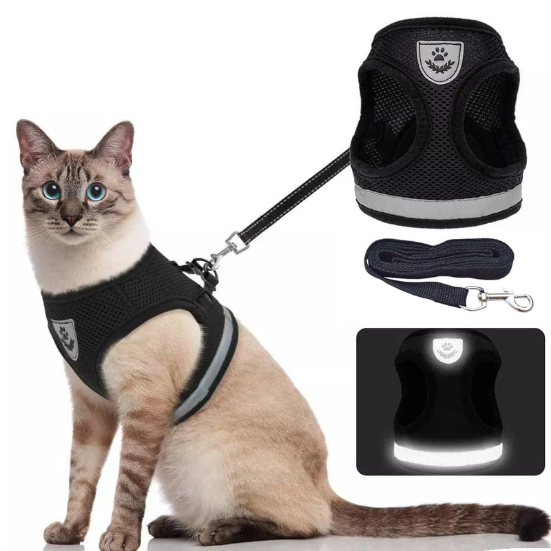 Embrace Adventures: CozyCat Pet Harness and Leash