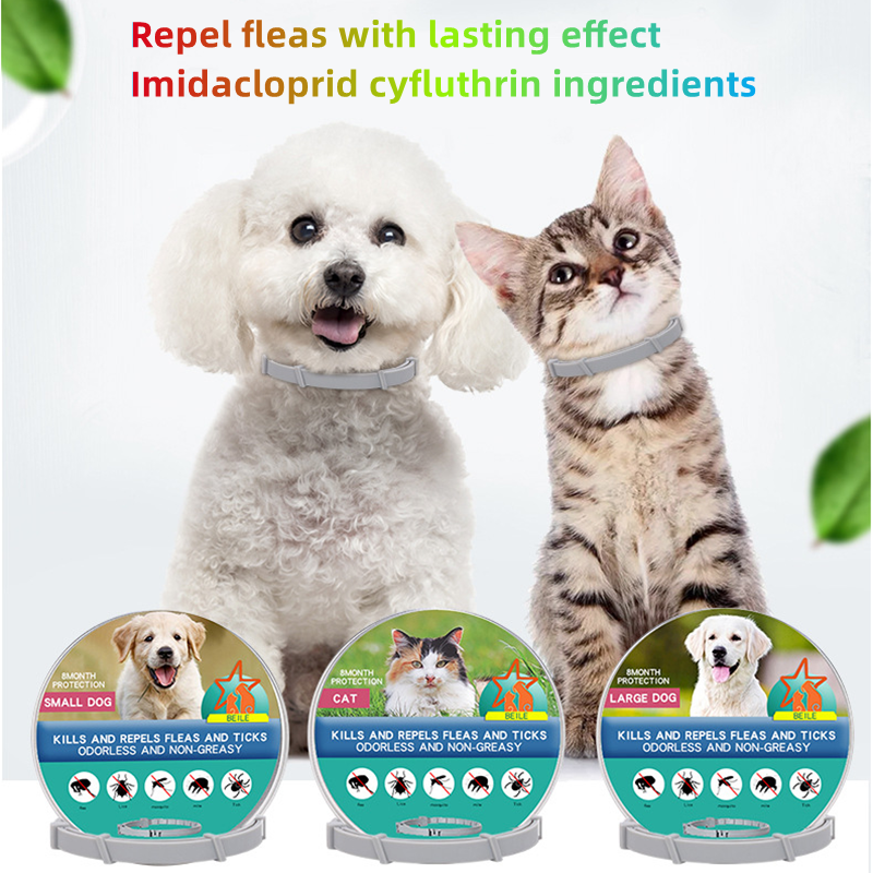 Worry-Free Adventures: Flea and Tick Protection