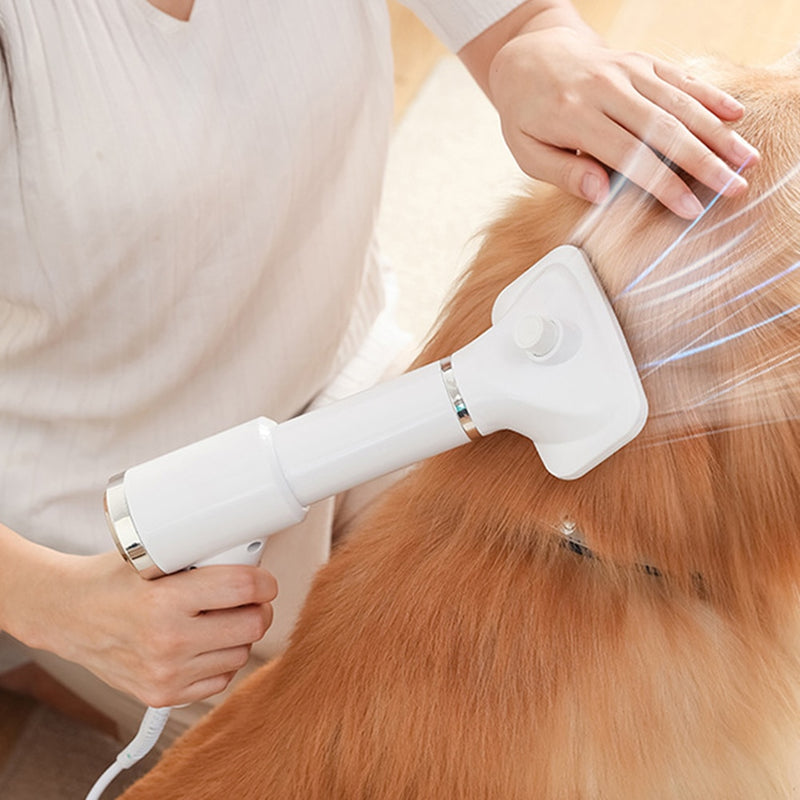 Drying Love: Portable 2-in-1 Dog Hair Dryer