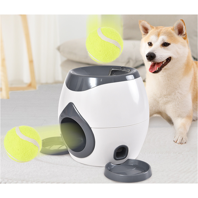 Feeding Made Smart: The Smart Pet Feeder