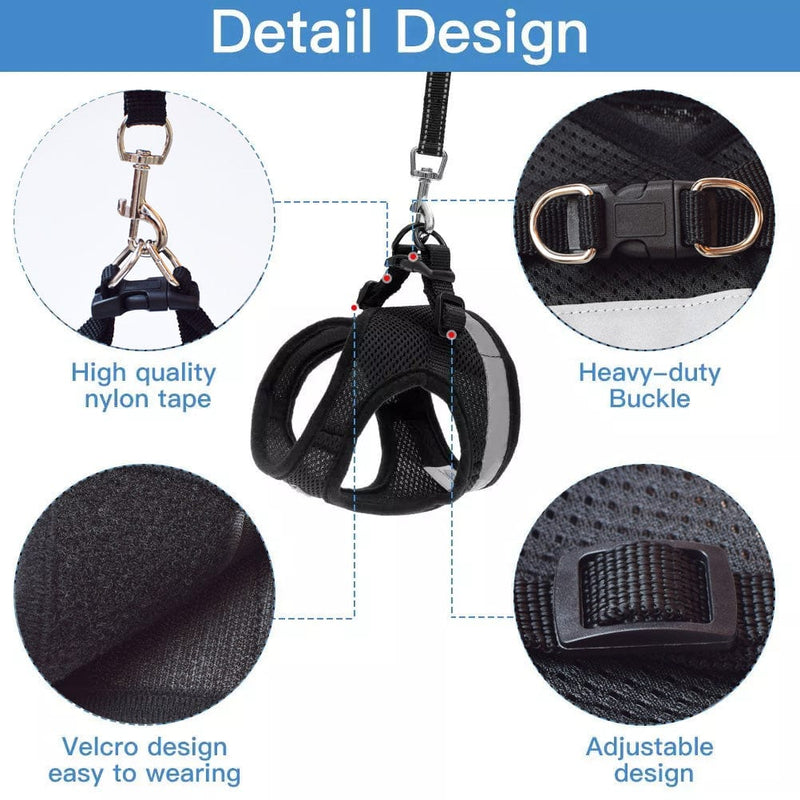 Embrace Adventures: CozyCat Pet Harness and Leash